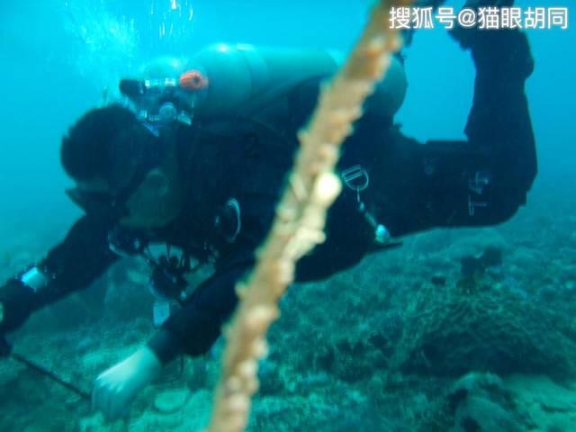 HW刀塔传说